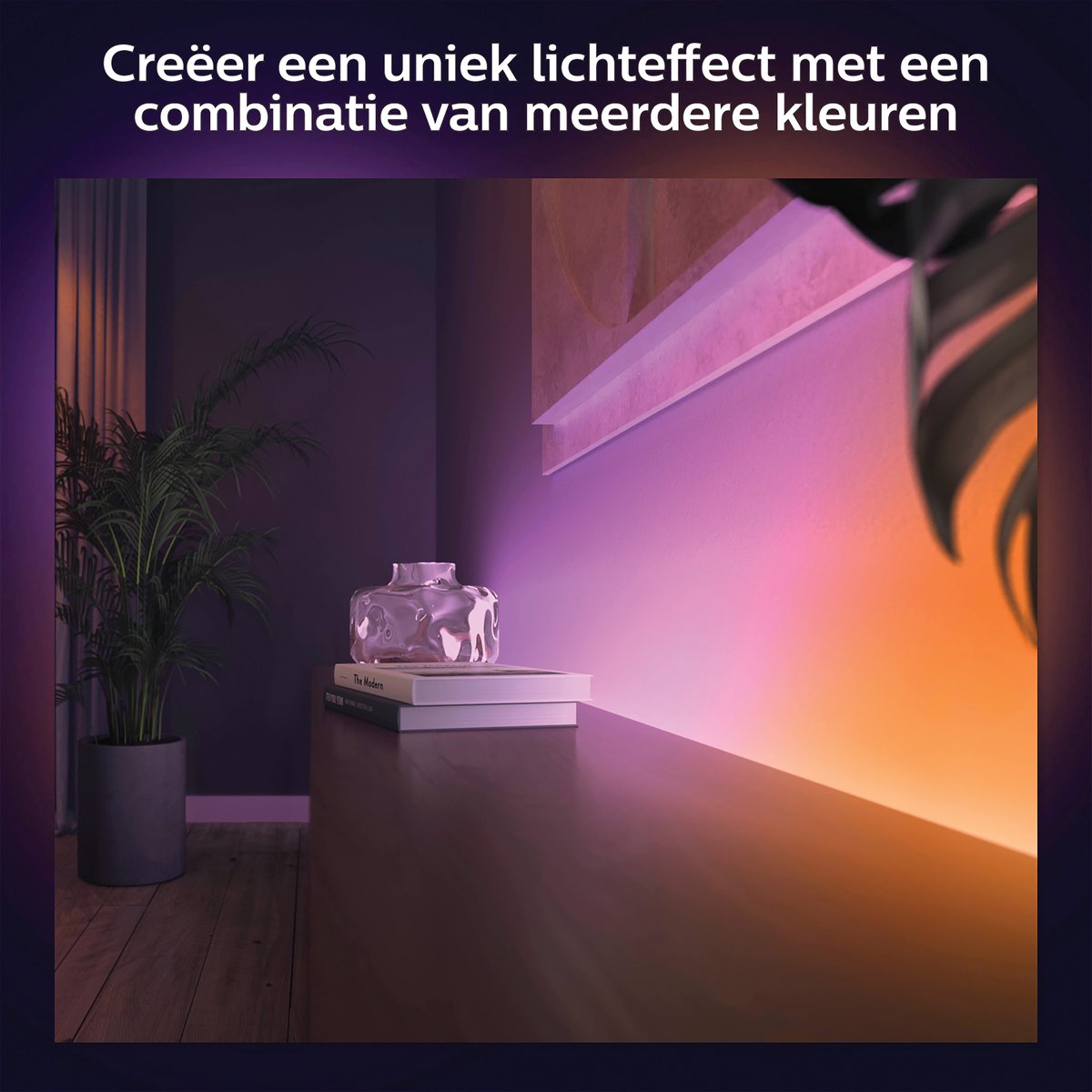 Philips Hue Gradient lightstrip 2 m basis - White and Color Ambiance - Bluetooth