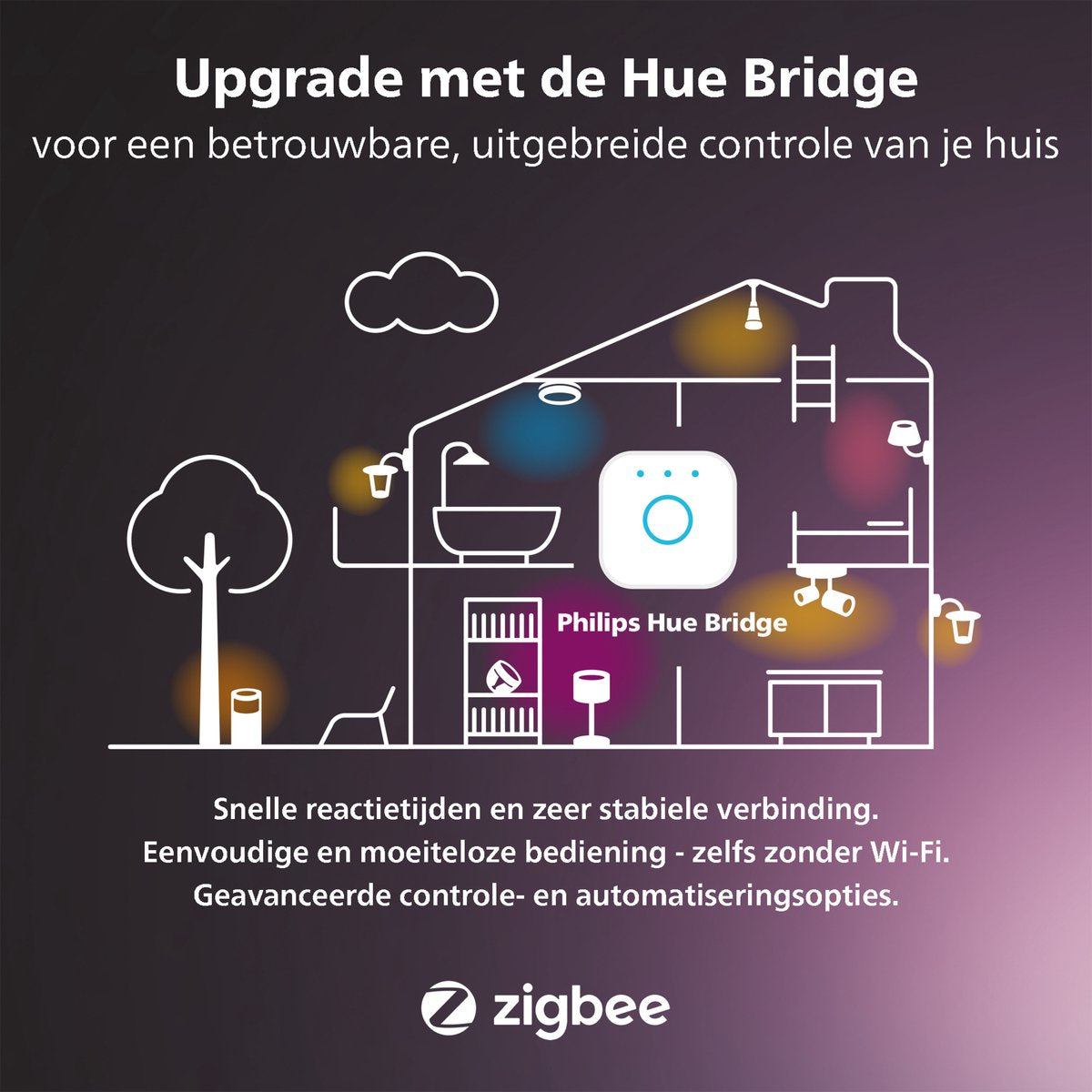Philips Hue Gradient lightstrip 2 m basis - White and Color Ambiance - Bluetooth