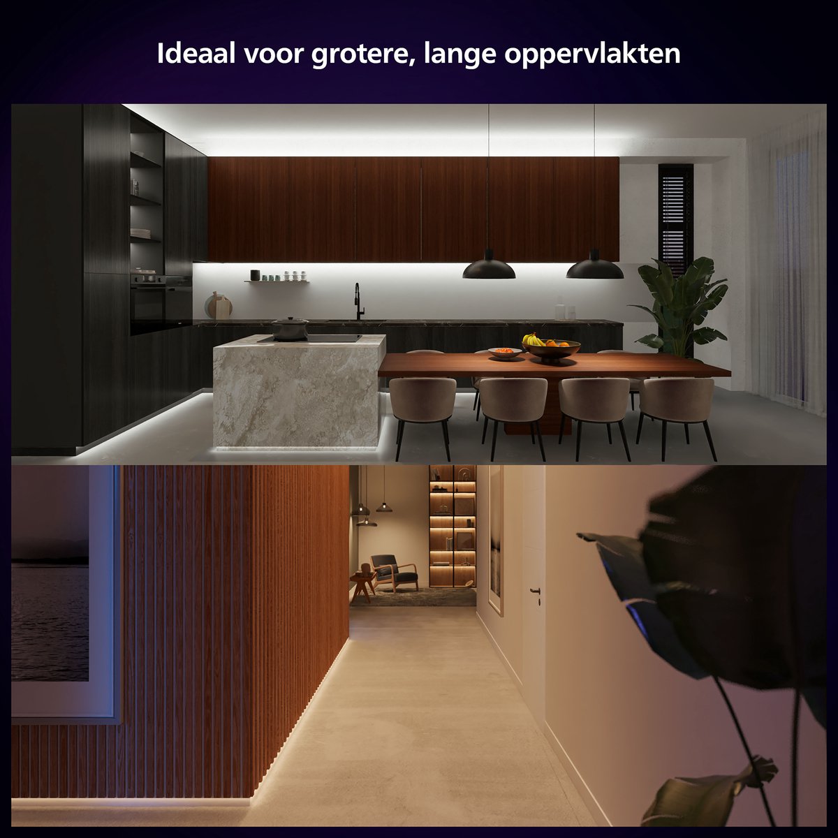 Philips Hue Solo led strip - wit en gekleurd licht - 5m